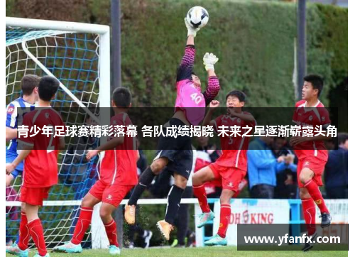 青少年足球赛精彩落幕 各队成绩揭晓 未来之星逐渐崭露头角