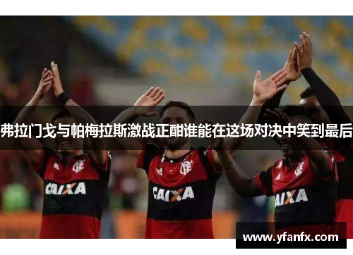 弗拉门戈与帕梅拉斯激战正酣谁能在这场对决中笑到最后